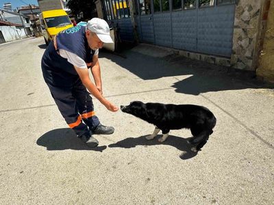 Temizlik görevlisi sahibini kaybeden Dayı'ya iki yıldır yuva oldu