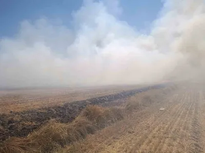 Afyonkarahisar Sandıklı'da anız yangını yaklaşık 100 dekarlık alana zarar verdi