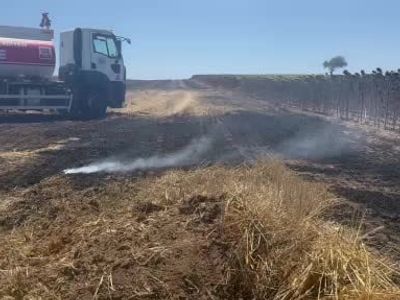 Tekirdağ Muratlı'da Anız Yangını: İtfaiye Hızlı Müdahaleyle Kontrol Altında