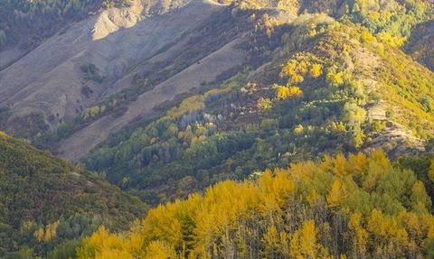 Tunceli'de Sonbahar Renkleri: Zirvelerde Ormanlar Sarardı