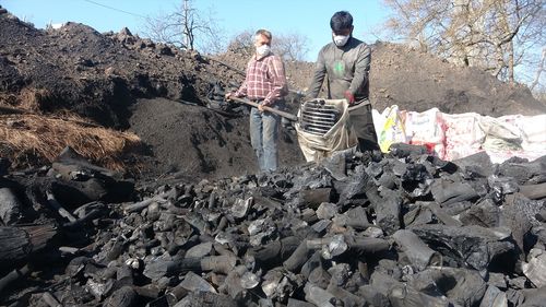 Çanakkale'den ABD ve Avrupa'ya Yıllık 60 Ton Mangal Kömürü İhracı
