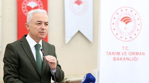 Kırklareli'nde Kuraklığa Dayanıklı Sorgum Tohumu Dağıtıldı