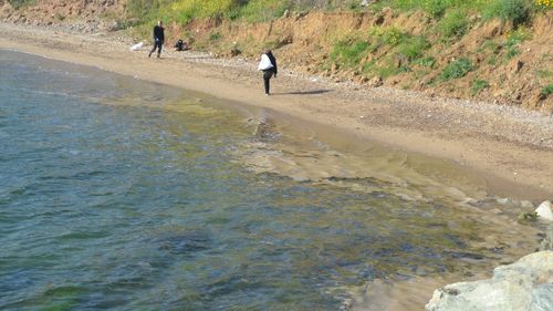 Yalova'nın Armutlu Kıyılarında Müsilaj Alarmı