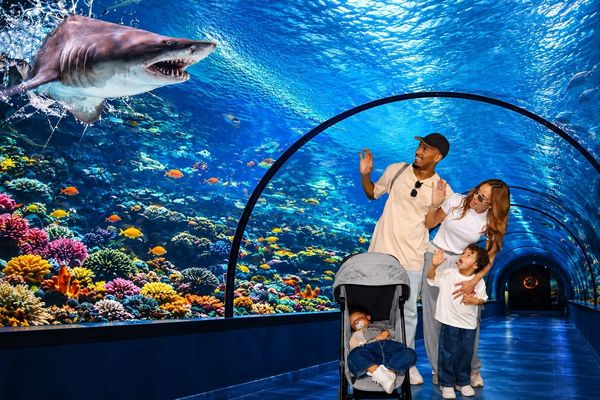 Fabinho ailesiyle Trabzon Akvaryumu'nda deniz dünyasını keşfetti