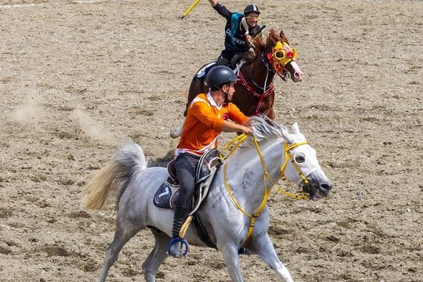 Erzincan'da cirit kıyası: Ankara TMO yarı finale çıktı