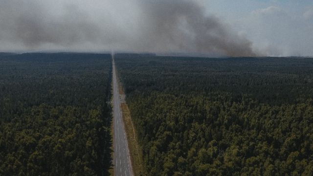 Kırıkkale'de Orman Yangınlarına Karşı 5 Aylık Yasak İlan Edildi