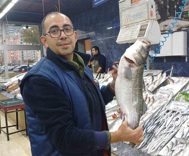 Kayseri'de palamut az, hamsi bolluğu sürüyor