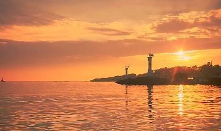 Marmara'da sabah yolculuğuna yunus konuk oldu