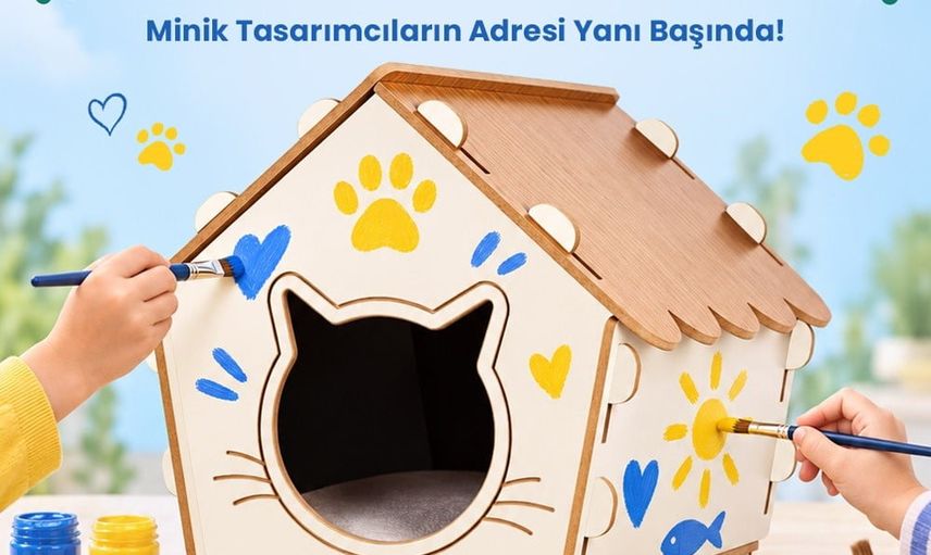 M1 Konya'da çocuklar kendi kedi evlerini tasarlayıp evcil dostlarıyla buluşturacak