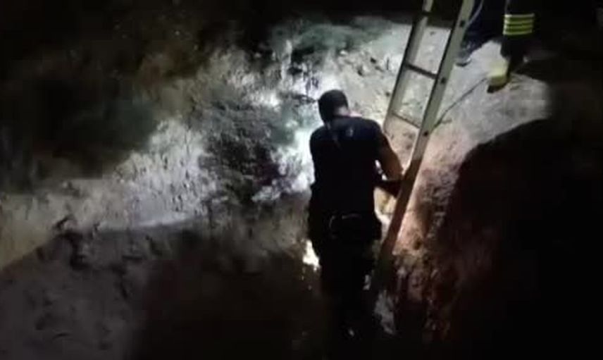 Karapınar'da iki gün sonra çukurdan çıkarılan kuzu sahibine teslim edildi