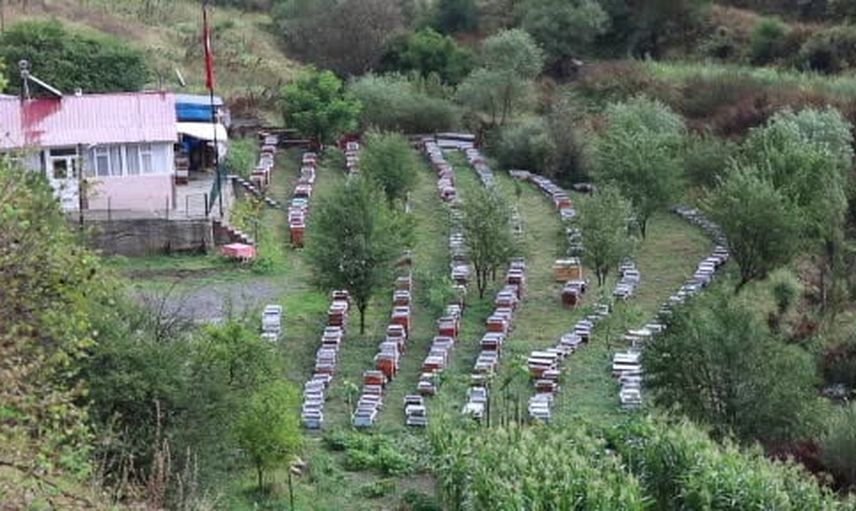 Sporcu antrenör Doğan Köy'de 440 kovanla organik bal üretiyor