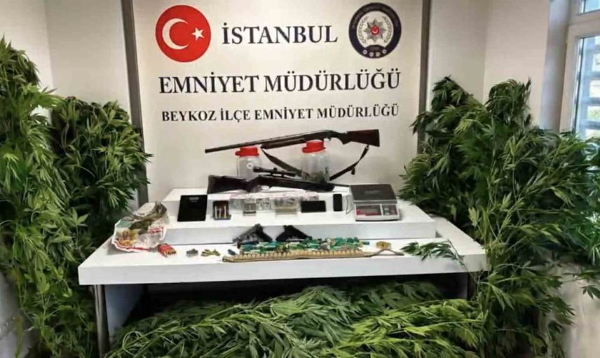 Beykoz'da iki adrese eş zamanlı baskın: çok sayıda kenevir ve silah ele geçirildi