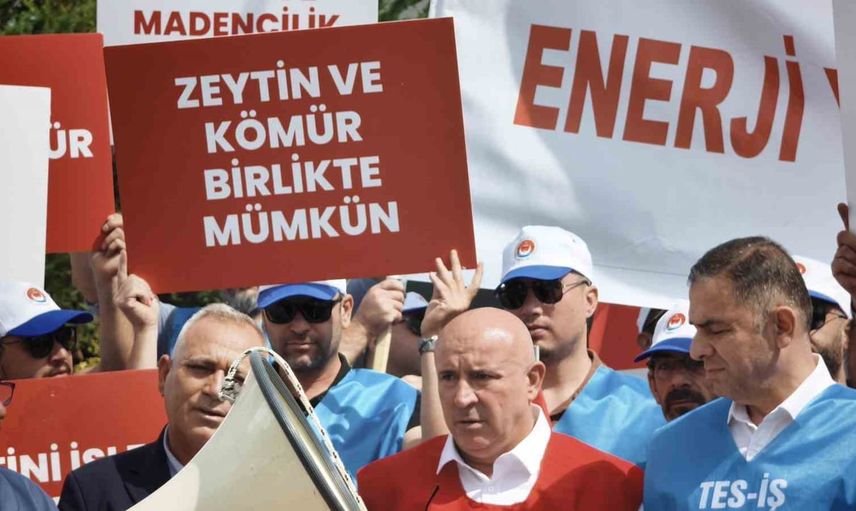 Yargı masasına taşınan Milas: işin, zeytinin ve ailenin geleceği