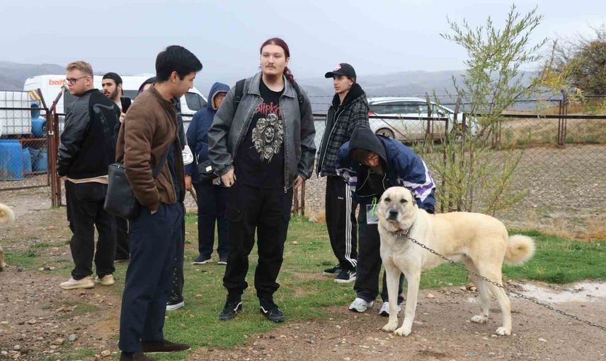 Yabancı öğrencilerin kangal karşılaşması sivas turizmine dikkat çekti