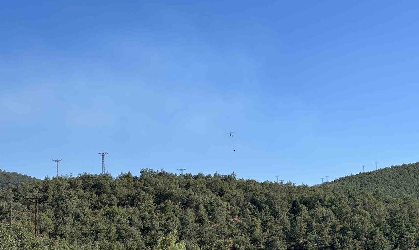 Uşak'ta Sivaslı ilçesinde meşelik yangını kapsamlı müdahaleyle kontrol altına alındı