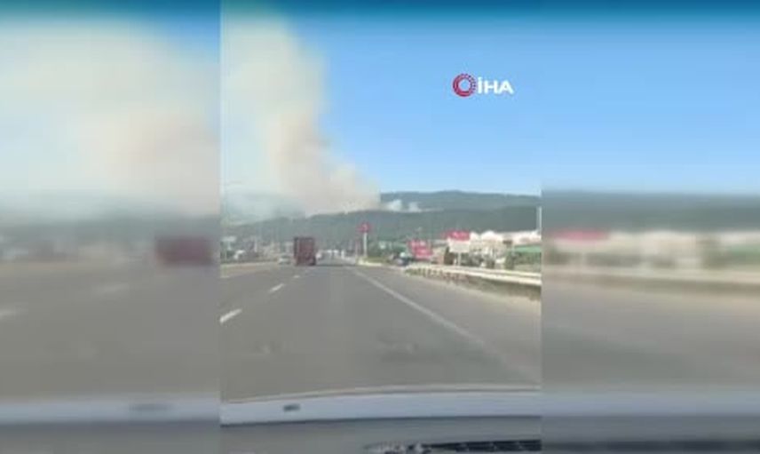 Hamidiye çöplüğünde başlayan alevler meşelik ormana ulaştı