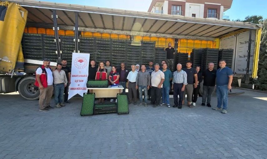 Burhaniye'de seracılara yüzde 75 hibe ile marul üretimini güçlendirme adımı