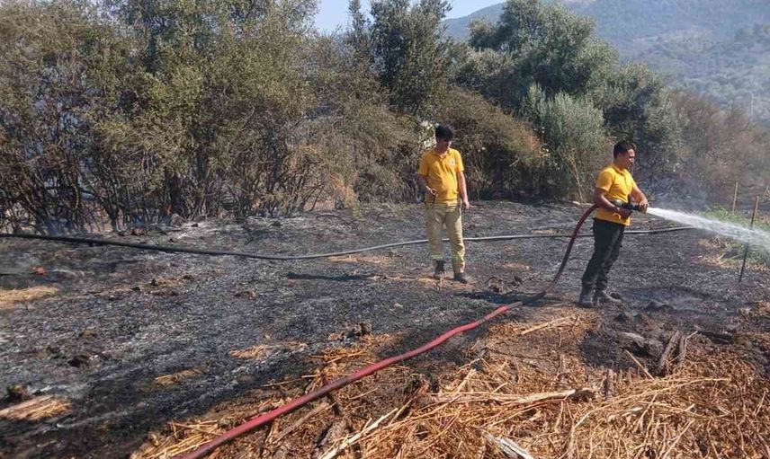 Bafa'da tarım arazisinde çıkan yangın kısa sürede söndürüldü