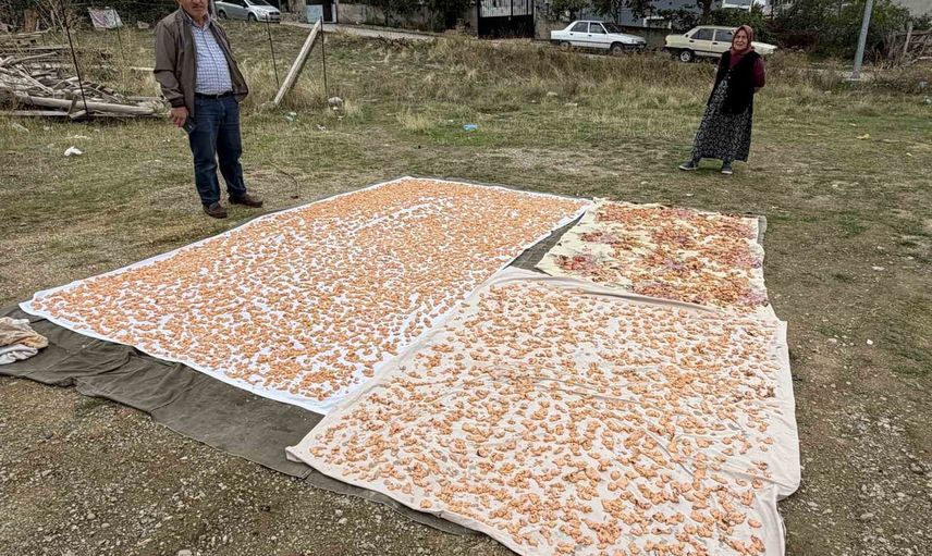 Esentepe'de kış sofraları için tarhana mesaisi