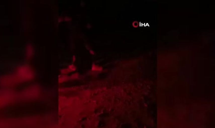 Güney Suriye'de hava harekatı: aralarında kadın ve çocukların olduğu 5 sivil yaşamını yitirdi