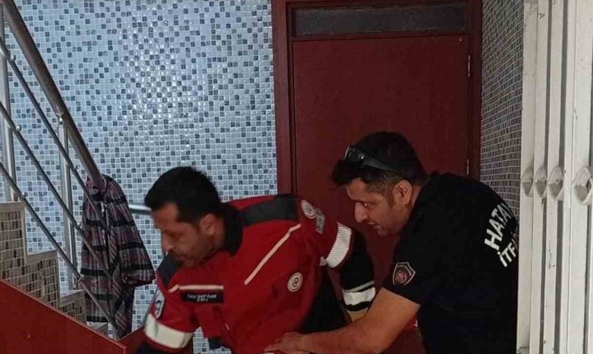 Samandağ'da sakin müdahale: yerleşim içindeki yılan doğaya bırakıldı
