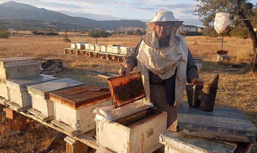 Gediz yaylalarında bereket: arıcıların yüzü yüksek rekolteyle güldü