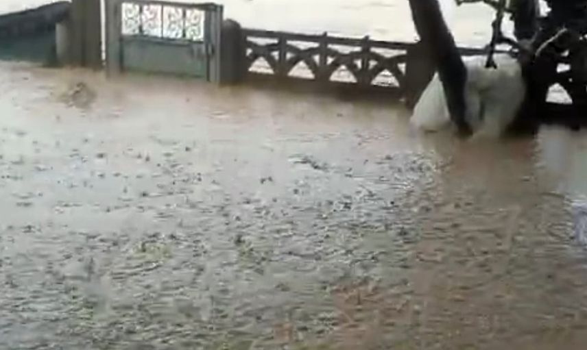 Demiraçma'da sel üretim tesislerini vurdu: 60 bin kanatlı hayvan telef oldu