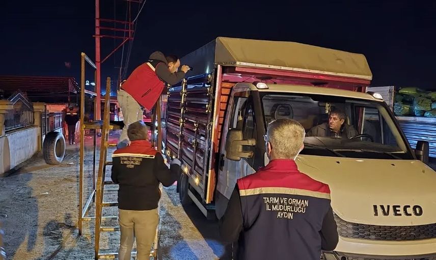 nazilli hayvan pazarında kulak küpesi ve sevk belgesi denetimi sıkılaştırıldı