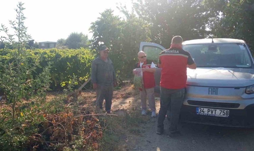 Hasat öncesi pestisit denetimiyle Turgutlu bağlarında güvence arayışı