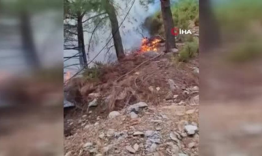Yıldırımın vurduğu Alanya'da ormanlık alan zarar gördü