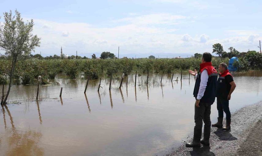 Çarşamba'da sağanak tahribatı: 30 mahallede tarım arazilerinde hasar tespiti