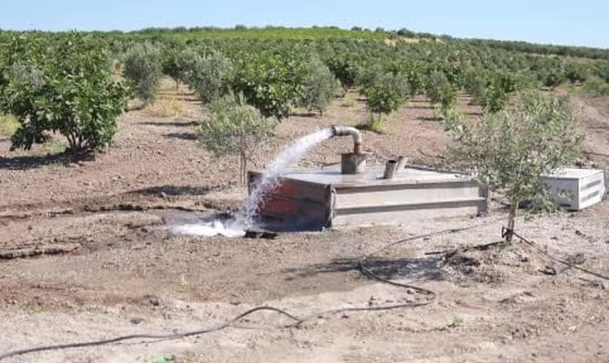 Koldere'ye can suyu: üzüm ve zeytin tarlalarında yeni umut