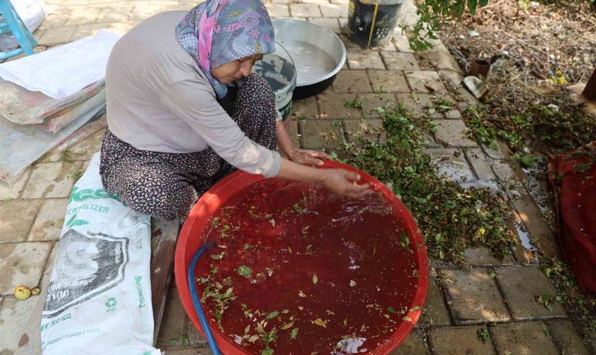 Kozan’da odun ateşinde kışa hazırlık: kara kazanlarda kızılcık şerbeti