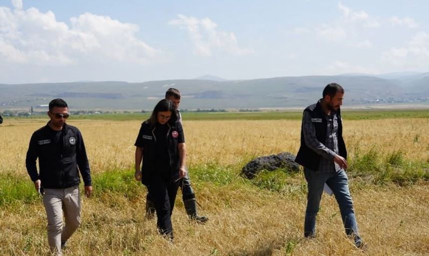 Çıldır'da dolu ve aşırı yağış tarım arazilerinde hasar bıraktı