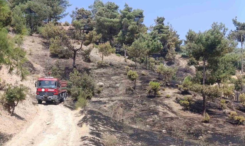 Kahramanmaraş'ta Kılavuzlu Mahallesi'nde orman yangını kontrol altına alındı