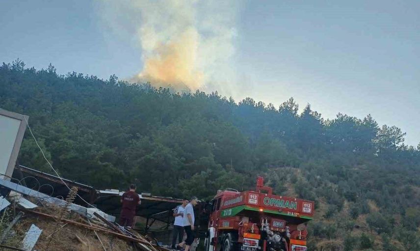 Hassa'da Söğüt Mahallesi'ndeki orman yangını havadan ve karadan müdahaleyle kontrol altına alındı