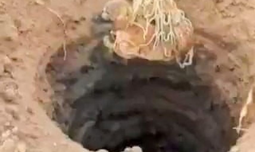 Yamaç köyünde AFAD'ın müdahalesiyle çukurdan çıkarılan köpek doğaya döndü