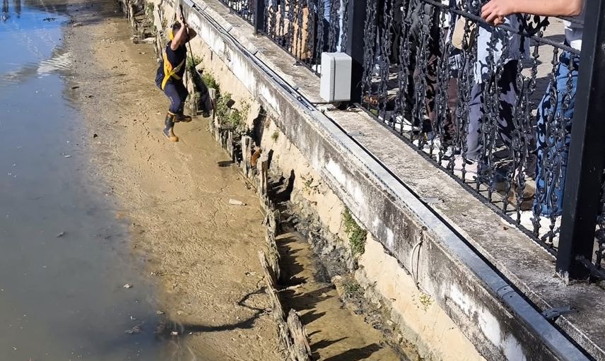 İtfaiyenin çabasıyla PTT önündeki dereden iki kedi kurtarıldı