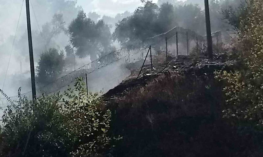 Milas-Söke karayolunda otluk yangını ekiplerin müdahalesiyle büyümeden söndürüldü