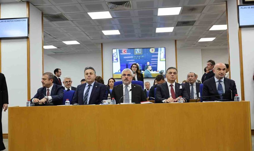Yatırım fonu tasfiyesinde devir işlemleri kamu bütçesine yük olmayacak