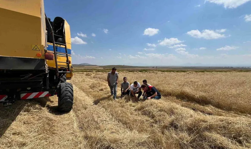 Kars’ta biçerdöver denetimleri sıkılaştırıldı, üreticinin emeği korunuyor
