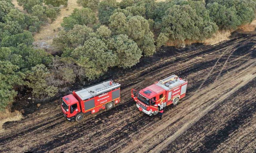 Rüzgarın etkisiyle yayılan yangın Çivril'de 100 dönüm arazide hasara yol açtı