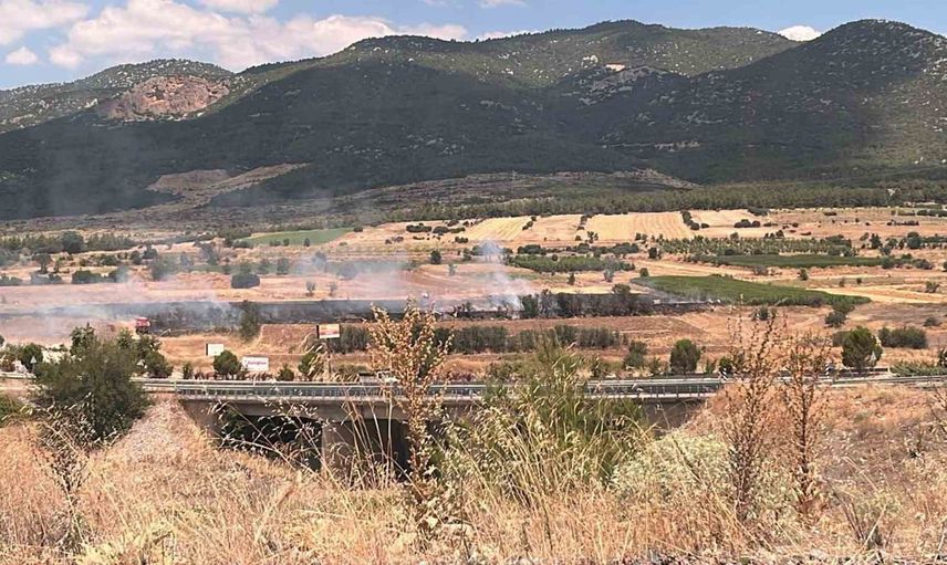 Kuru ot yangını Gölhisar'da 20 dönümlük alanı tehdit etti