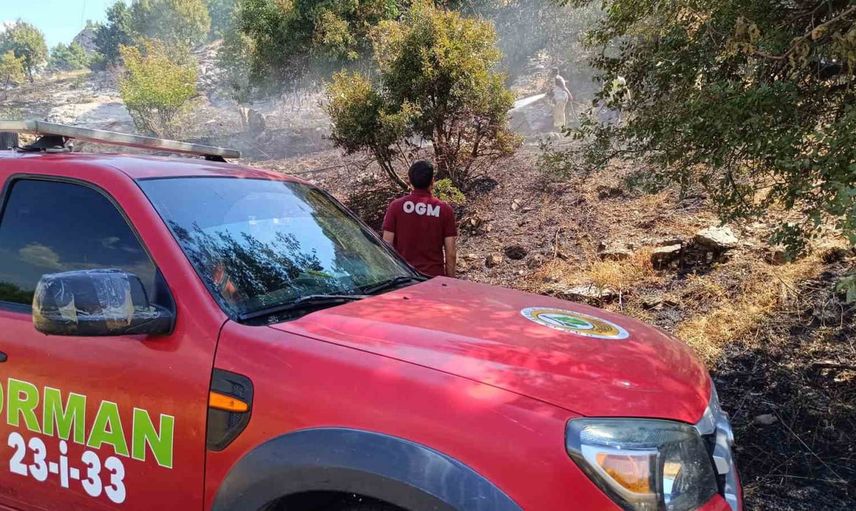 Bingöl'de iki ayrı noktada çıkan yangınlar hızlı müdahaleyle söndürüldü