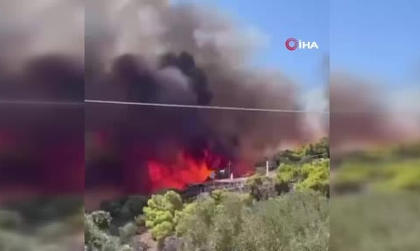 Salamina adasında alevler: yaşlı çiftin kaybı, yüzlerce kişinin tahliyesi