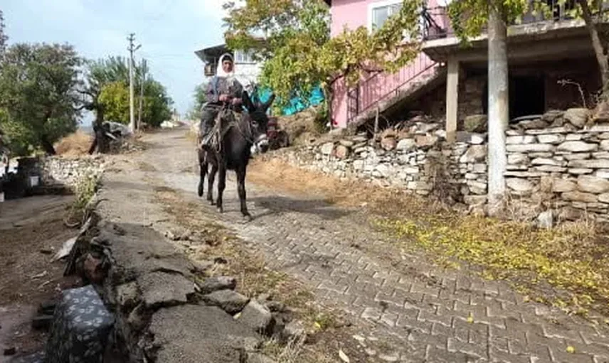 Dağların kırmızı taneleri: Demirci kadınlarının çitlembik emeği geçim kaynağı