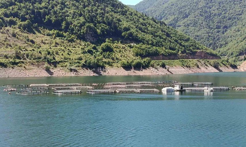 Topçam baraj gölünde alabalık tesisleri mevzuat ve sürdürülebilirlik açısından denetlendi