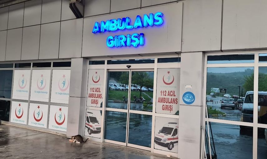 Çiçekli'de ağaçtan düşme iki kişinin yaralanmasına neden oldu