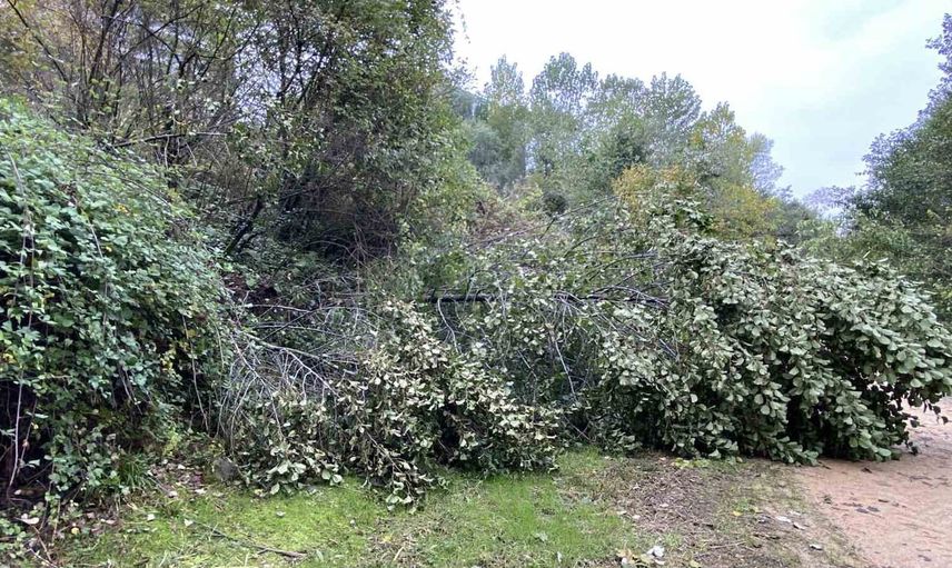 İstinat duvarı Başiskele'de çöktü, çocuk parkı kısmen toprak altında kaldı