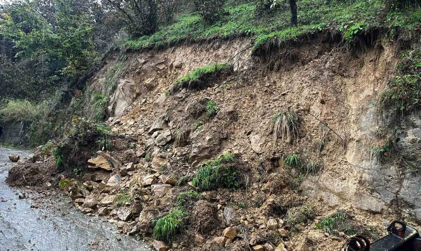 Akçakoca Yeşilköy'de hızla müdahale: yol güvenliği sağlandı